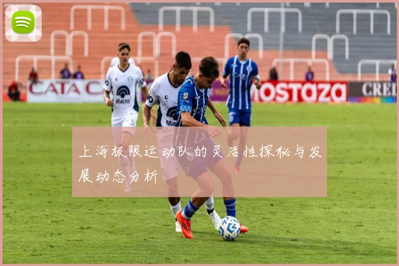 上海极限运动队的灵活性探秘与发展动态分析