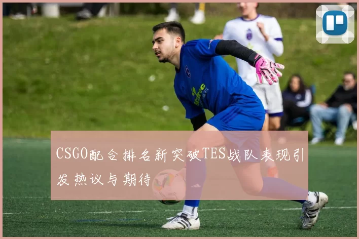 CSGO配合排名新突破TES战队表现引发热议与期待
