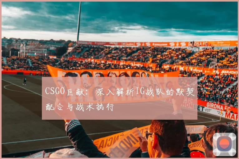 CSGO巨献：深入解析IG战队的默契配合与战术执行