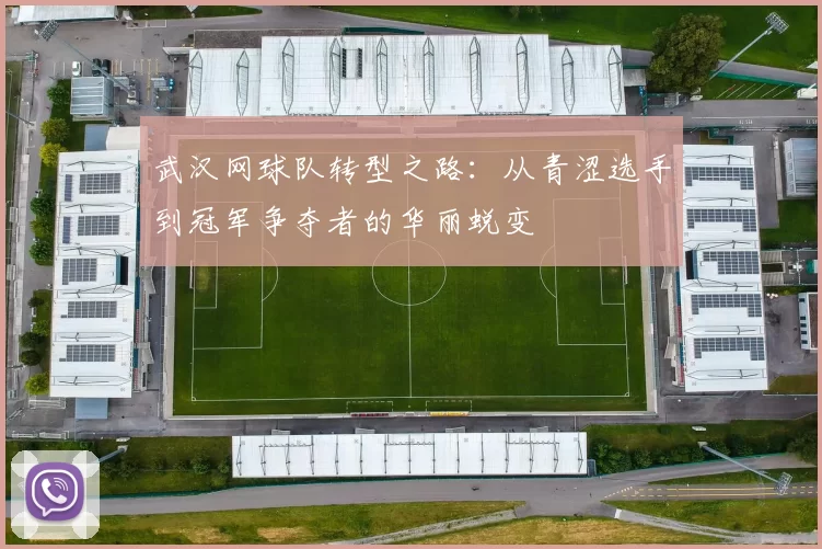 武汉网球队转型之路：从青涩选手到冠军争夺者的华丽蜕变