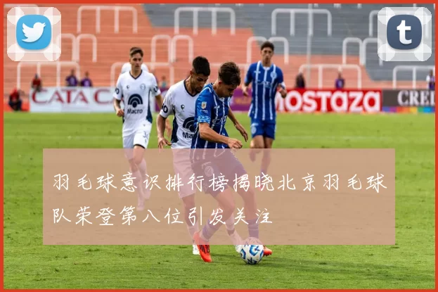 羽毛球意识排行榜揭晓北京羽毛球队荣登第八位引发关注