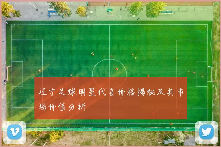 辽宁足球明星代言价格揭秘及其市场价值分析