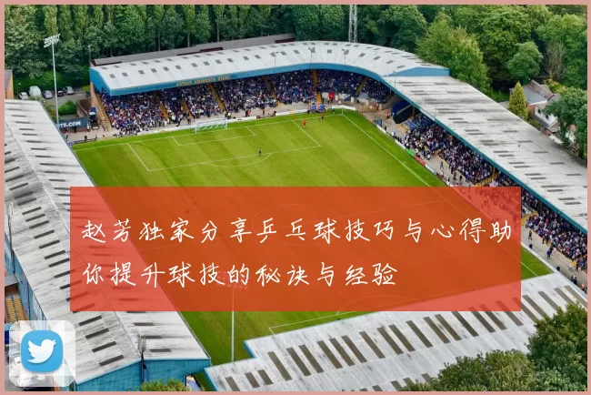 赵芳独家分享乒乓球技巧与心得助你提升球技的秘诀与经验