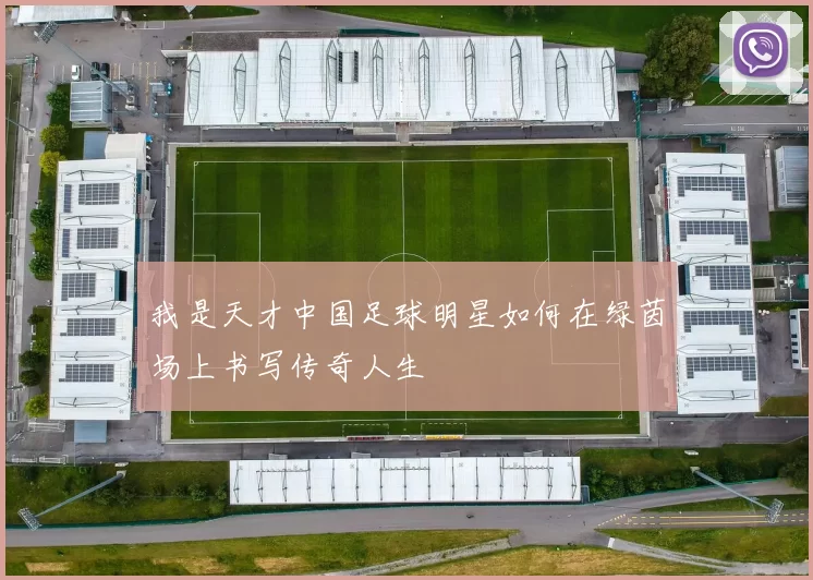 我是天才中国足球明星如何在绿茵场上书写传奇人生