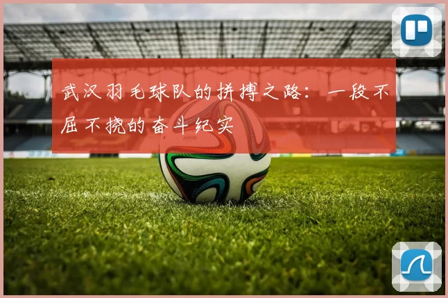 武汉羽毛球队的拼搏之路：一段不屈不挠的奋斗纪实