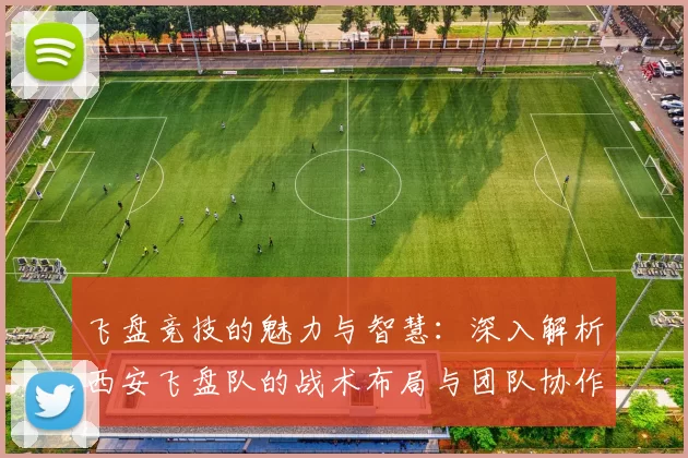 飞盘竞技的魅力与智慧：深入解析西安飞盘队的战术布局与团队协作