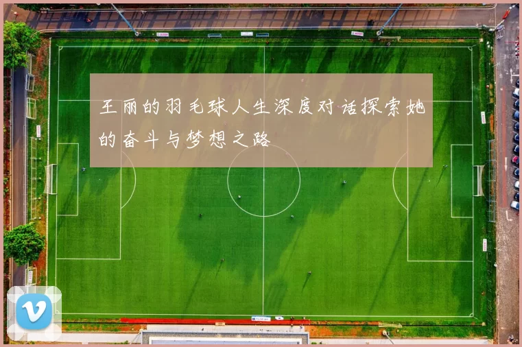 王丽的羽毛球人生深度对话探索她的奋斗与梦想之路