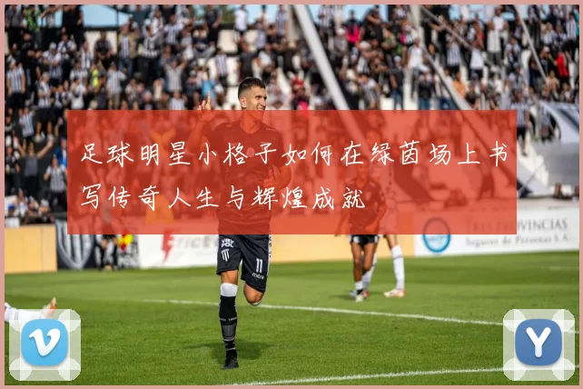 足球明星小格子如何在绿茵场上书写传奇人生与辉煌成就