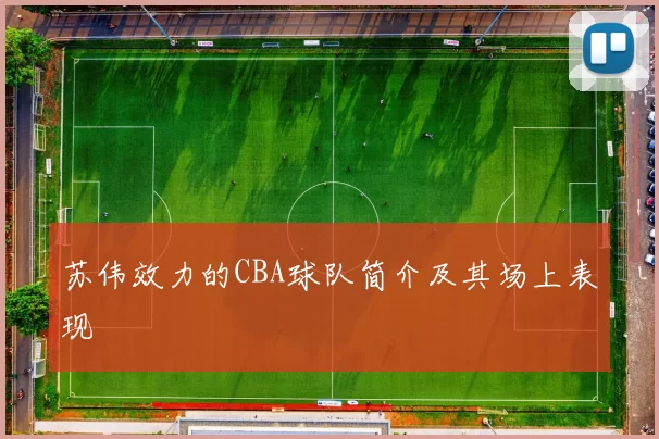 苏伟效力的CBA球队简介及其场上表现