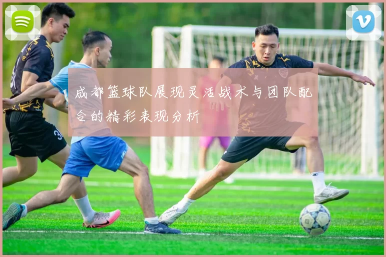 成都篮球队展现灵活战术与团队配合的精彩表现分析