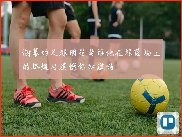 谢幕的足球明星是谁他在绿茵场上的辉煌与遗憾你知道吗