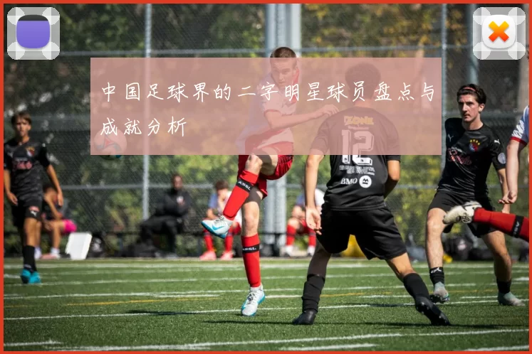 中国足球界的二字明星球员盘点与成就分析