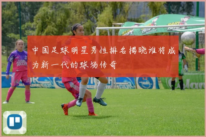 中国足球明星男性排名揭晓谁将成为新一代的球场传奇
