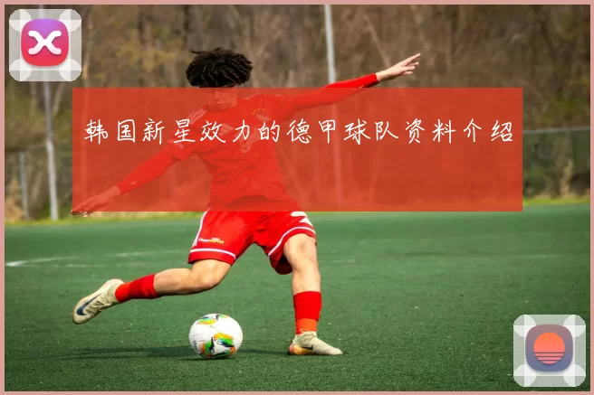 韩国新星效力的德甲球队资料介绍
