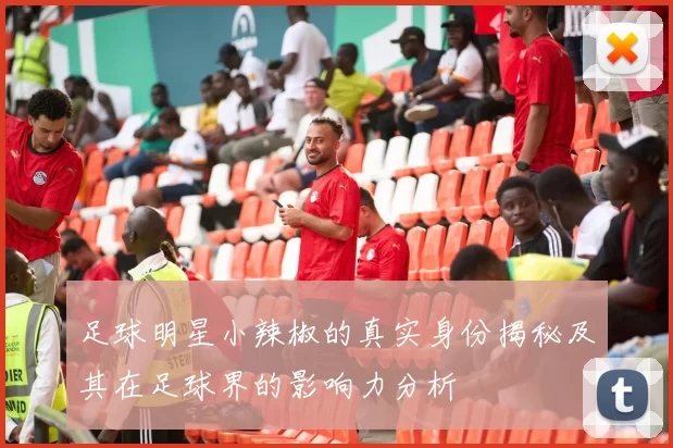 足球明星小辣椒的真实身份揭秘及其在足球界的影响力分析